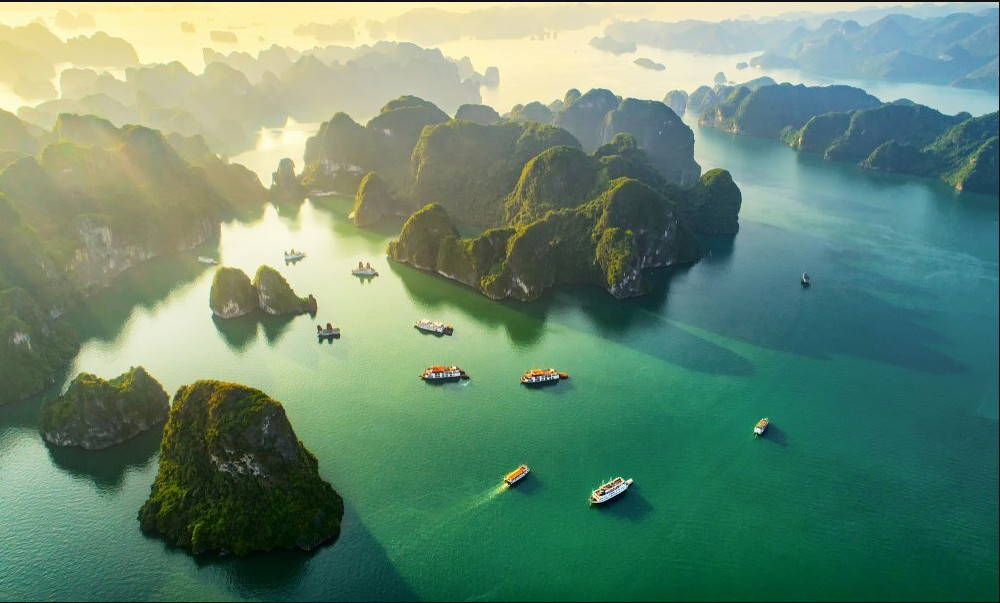 Bản tin đầu tư tài chính và thuế kỳ 15 tháng 06 năm 2023